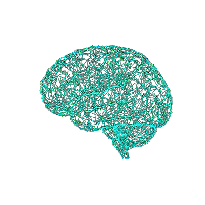 Convex Network