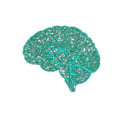 Medial Network